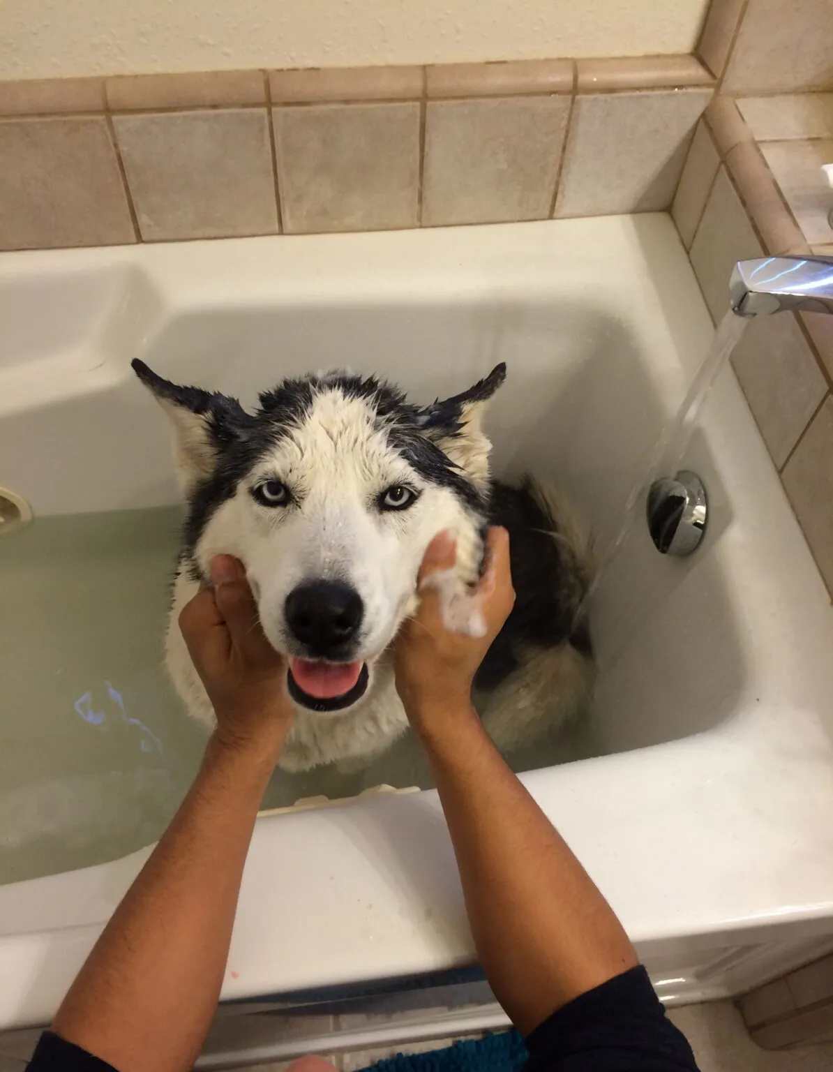 Benson